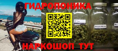 гашишное масло Берёзовский