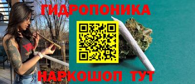 a pvp Бийск